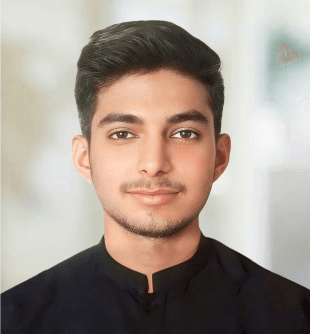 Haseeb Ahmed web developer Logo